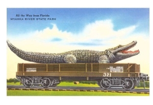 Giant Alligator on Rail Car, Myakka River State Park, Florida