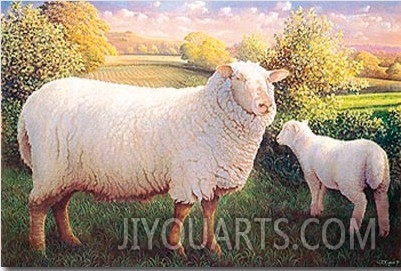 Ewe And Lamb