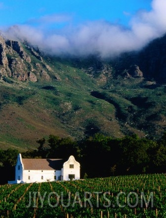 Cape Dutch Colonial Manor House and Vineyard with Mountain Backdrop, Dornier, South Africa