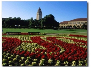 Gardens at Stanford University, Palo Alto, USA