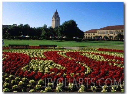 Gardens at Stanford University, Palo Alto, USA