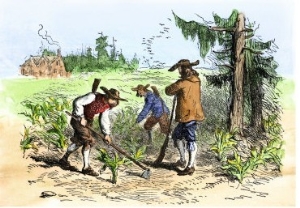 Settlers Planting Crops in South Carolina During Colonial Days