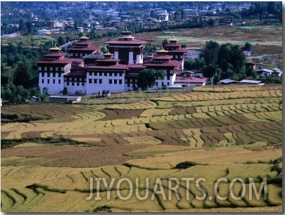 Fields with Trashichhoe Dzong in Background, Thimphu, Bhutan