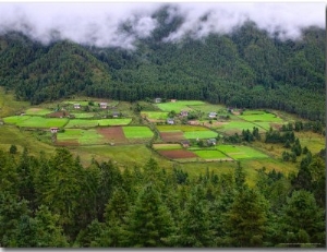 Houses and Farmlands in the Phobjikha Valley, Gangtey Village, Bhutan