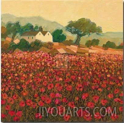 Poppy Field near Aix En Provence
