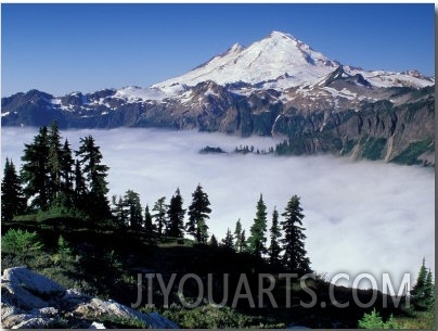 View of Mount Baker from Artist