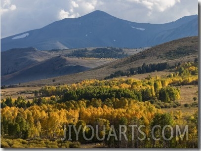 Autumn Descends on the Eastern Sierra Mountains