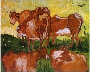 Cows (after Jorsaens)