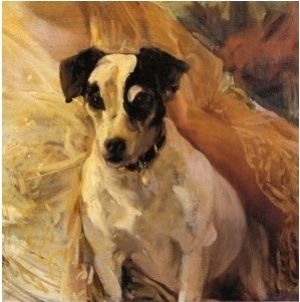 Portrait of a Jack Russell