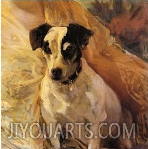 Portrait of a Jack Russell