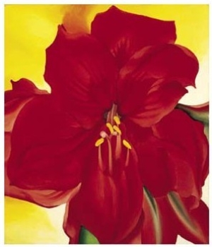 Red Amaryllis, 1937