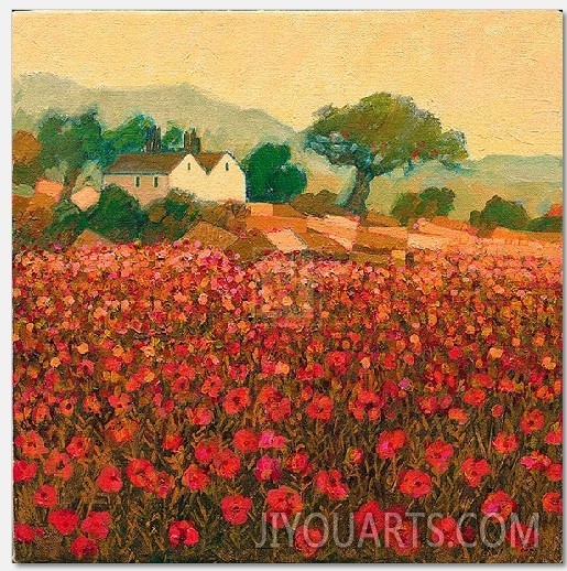 Poppy Field Near Aix En Provence