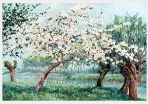 Apple Blossom on the Rivers Edge