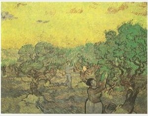 Olive Grove With Picking Figures