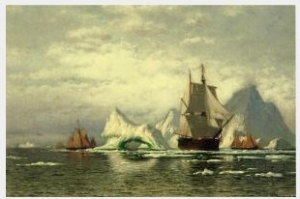 Arctic Whaler Homeward Bound Among The Icebergs
