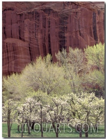 Red Cliffs Behind Fruit Trees