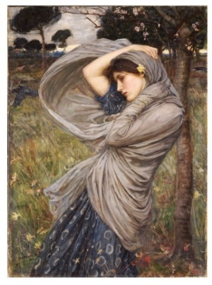 Boreas, 1903