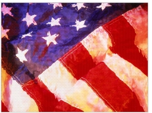 Americal Flag