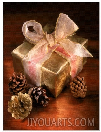 Christmas Gift with Gold Ribbon and Pinecones
