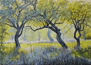 Landscape Oil Painting ，Old apple orchard