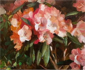 Garden Rhododendron
