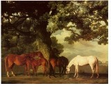 George Stubbs